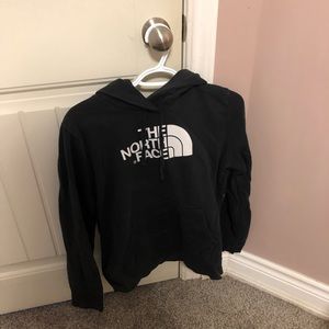 the north face hoodie